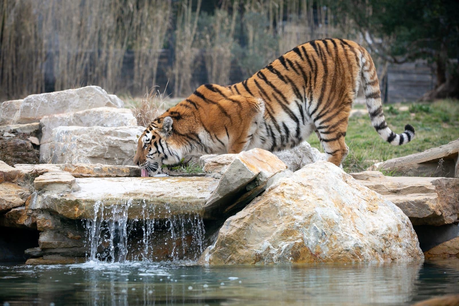 Château de la Barben & Zoo